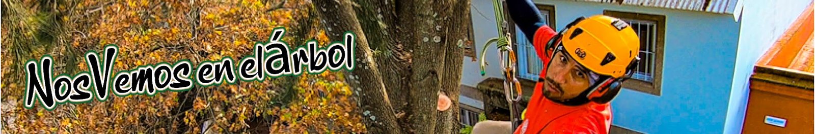 banner nos vemos en el arbol